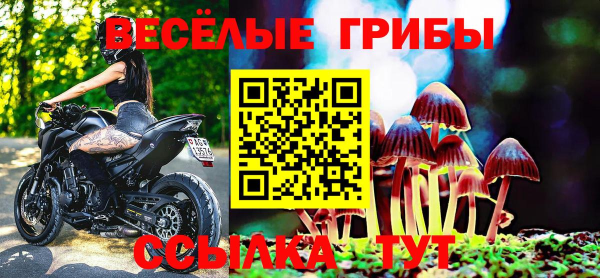 Псилоцибиновые грибы мухоморы Белая Калитва